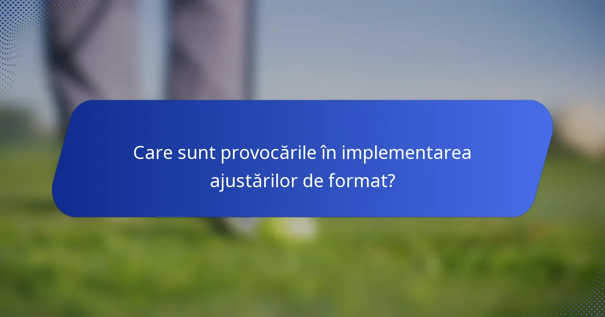 Care sunt provocările în implementarea ajustărilor de format?