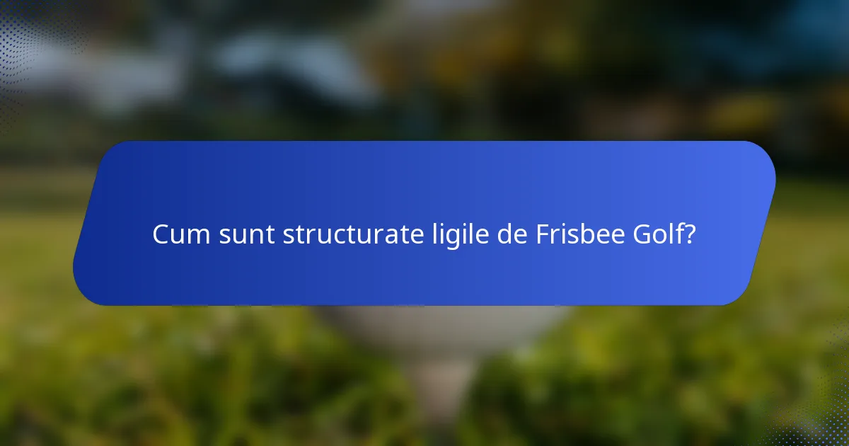 Cum sunt structurate ligile de Frisbee Golf?